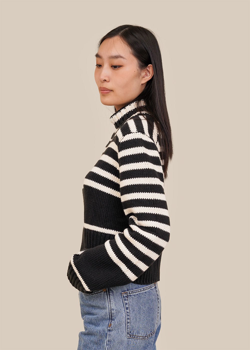 Striped Luigi Turtleneck Sweater